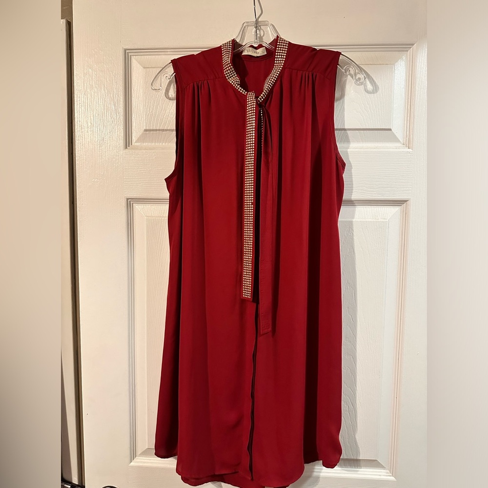 Shirt Dress with Gold Accents